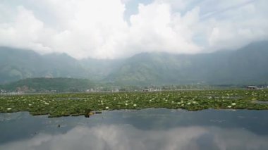 Srinagar, Hindistan - 10 Haziran 2018: Lotus, dağlar ve bulutlu Dal Gölü panoraması, Srinagar, Hindistan