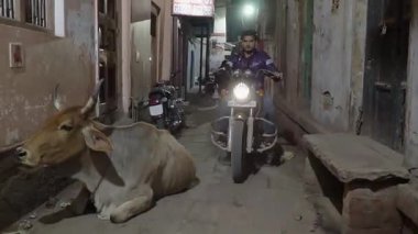 Varanasi 'nin hareketli gece sokaklarını keşfetmek