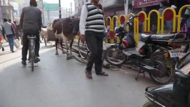 Canlı bir gündüz yürüyüşü sırasında Varanasi 'nin canlı sokaklarını keşfetmek