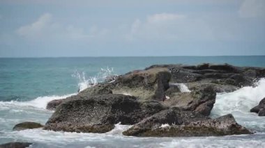 Malezya Borneo 'nun okyanusunun ve sahil şeridinin doğal güzelliklerini araştırıyorum.