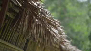 Borneo Çam Ormanı 'nda geleneksel Rungus insanlar için çatı