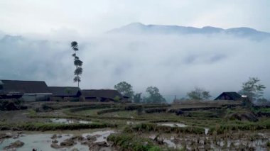Vietnam 'daki Sa Pa' nın sakin manzaralarını ve pirinç teraslarını keşfedin.