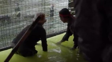 Hanoi, Vietnam - 4 Haziran 2018: Hanoi 'nin geleneksel tiyatrosunda Vietnam su kuklalarının sihrini tecrübe edin