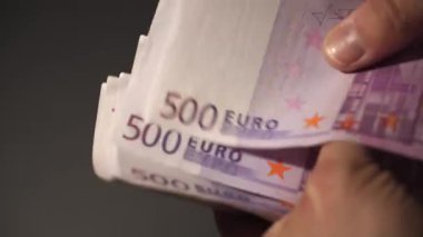 Bir el, mali işleme hazırlık için 500 avroluk banknotları sayıyor