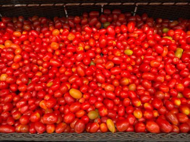 Tazelik ve ağız sulandıran zengin bir renk sergileyen, birbirine sıkıca dizilmiş bol miktarda kırmızı üzüm domatesleri. Dokuma sepetindeki küçük, pürüzsüz dokularını kusursuz bir şekilde renklendiriyor..