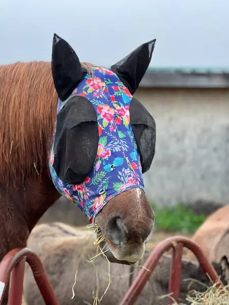 Renkli bir maske takan bir at