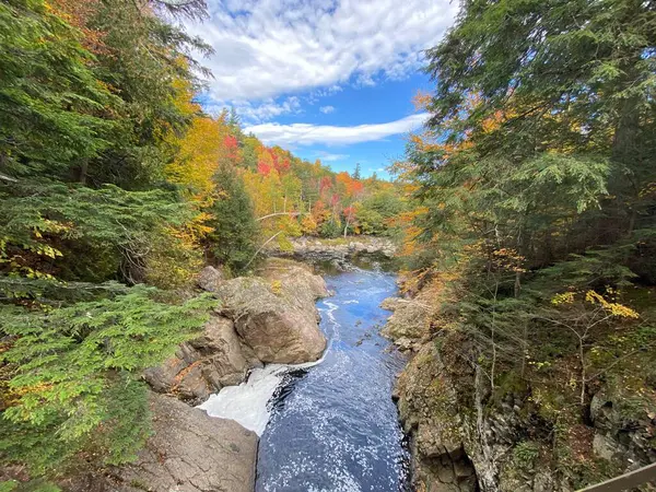 Adirondacks 'da nehir ve sonbahar renkleri