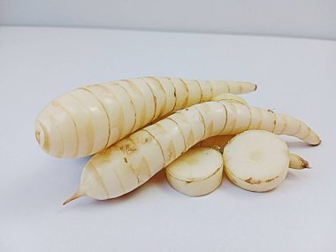 organic arrowroot rhizomes isolated on white background, maranta arundinacea, tropical plant root clipart