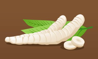 Kahverengi arka planda izole edilmiş organik ok köklü rhizomlar, maranta arundinacea, tropikal bitki kökleri