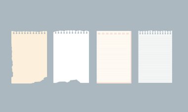 Gri bir arka planda düzenlenmiş, eski, pürüzlü bir dokuya sahip yırtık kağıt parçaları koleksiyonu. Bu resim, kağıt işçiliği ve yapıştırma kitabı ile ilgili tasarım projeleri için uygun olan sıkıntılı kağıdın dokusunu ve detaylarını yakalar.