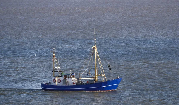 stock image Elbe river, Germany - 10 22 2022: Fishing vessel while engaged in fishing on Elbe river in Germany