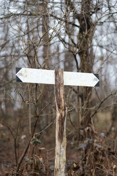 Mock-up of the wooden direction road sign arrows in the forest.