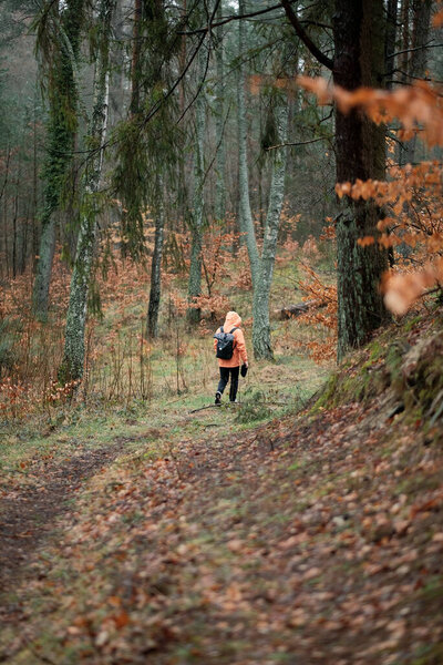 A human in the forest in the morning. A man walking alone in the forest.