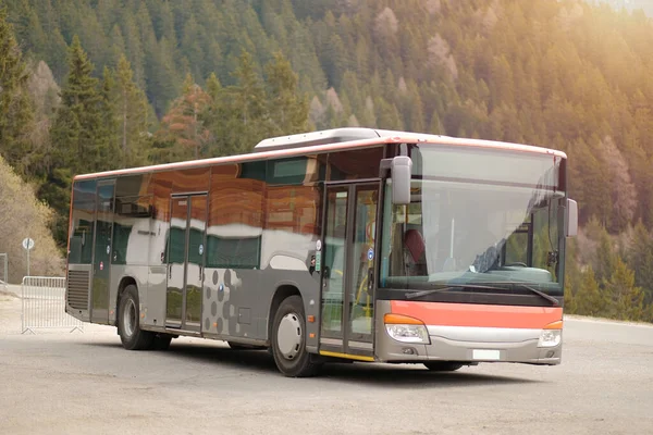 A close up of the empty bus at the bus station that is surrounded by the forest
