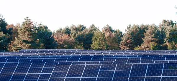 太阳能电池板在被森林环绕的城市外种植 用于房屋和仓库的光伏系统解决方案 太阳能发电 — 图库照片
