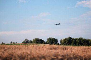 Polonya, Avrupa - 10 07 2024: Düşük ücretli Ryanair Uçak Saman Balyalarıyla Saha Üzerinden Uçuyor