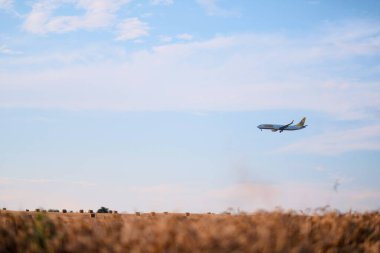 Polonya, Avrupa - 10 07 2024: Buzz Düşük Maliyetli Uçaklar Hay Bales ile Saha Üzerinden Uçmadan Önce Uçuyor