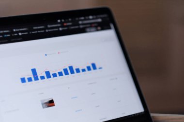 Fotoğraf Stoku Katkı Platformu Aylık Kazanç İstatistik Raporu