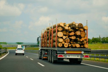 Kırsal Otobanda Ağır Kamyon Taşıma Kesme Tahta Kütükleri