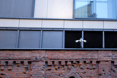 Modern Binada Tuğla Duvar Kontrastlı Güvenlik Kameraları