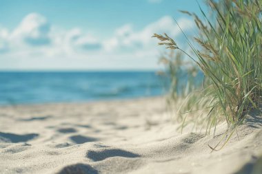 Sandy plaj dalgalar deniz ve mavi gökyüzü ile