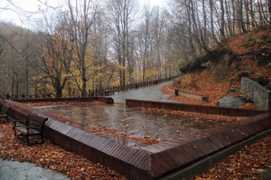 Flamingolar suda uçuyor.