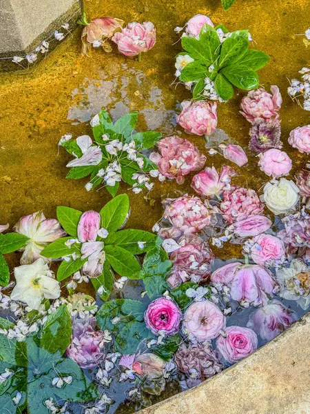 Suyun üzerinde yüzen pembe ve beyaz çiçeklerin bileşimi, yumuşak yeşil yapraklarla çevrili, ruhani ve romantik bir atmosfer yaratıyor. 