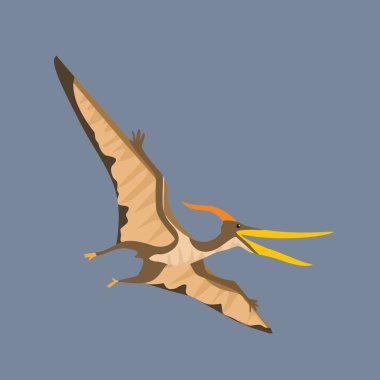 Pteranodon Dinozor Etçil Büyük uçan sürüngen, kıyı bölgelerinde bulunan balıkları yer.