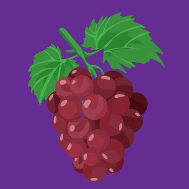 Üzümler tam versiyon tropikal egzotik taze meyve yassı tasarımı