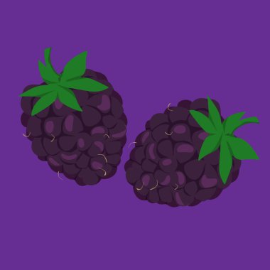 böğürtlen taze düz tasarım meyve egzotik ve taze meyveler