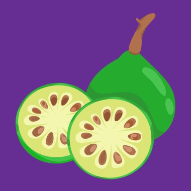 bael fruit fresh flat design fruit exotic and fresh fruits clipart