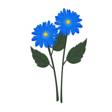 Canlı Mavi Gerbera Daisy Dolu Çiçek, Taze Bahar Çiçeği