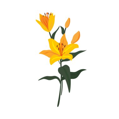 Taze Sarı Zambak Çiçekleri, Parlak Bahar Bahçesi Çiçekleri