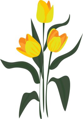 Güneşli Sarı Lale Çiçekleri, Çiçek açan bir bahçede canlı bahar çiçekleri