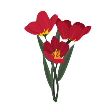 Canlı Kırmızı Gelincik Çiçeği Tam Çiçek, Hassas Bahar Çiçeği