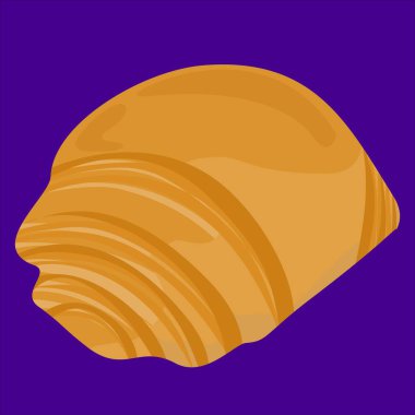 Geleneksel İtalyan Sfogliatella Pastası Çıtır Tabaklar ve Tatlı Ricotta Doldurmalı