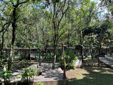 Yükselen Yeşil Ağaçlar ve Sakinleştirici Titreşimli Serene Garden