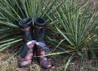 Rubber men's and women's boots near the Yucca bushes.