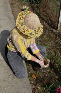Şapkalı bir kadın kazılmış timsahları soyuyor..