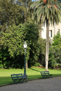 Ağaçları ve bankları olan bir park sokağı..