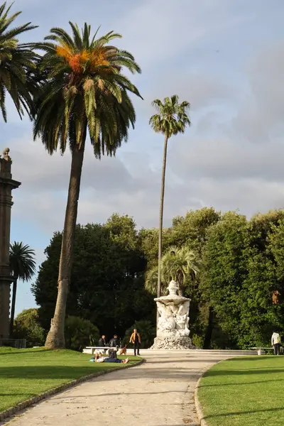 Akdeniz ağaçları ve şehir parkında bir çeşme.