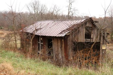 Paslı metal çatılı çürüyen ahşap kulübe kısmen bitki örtüsüyle kaplanmış. Arka planda çıplak ağaçlar olan bir tarlada. 