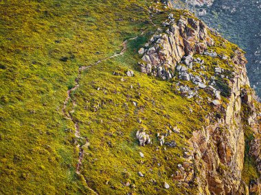 Portekiz 'deki yeşil bir uçurum boyunca yürüyen turistler, Portekiz' in çarpıcı manzarasını keşfeden turistlerin yer aldığı dar bir patikayla yeşil bir uçurumu yemliyor..