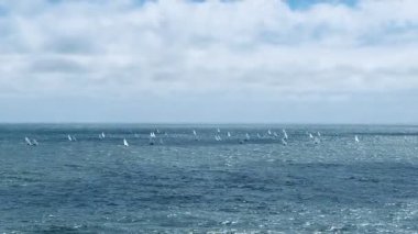 Sakin sularda Horizon 'da yelkenli tekneler. Portekiz' de sakin bir günde okyanus ufkuna dağılmış sayısız küçük yelkenlinin manzarası..