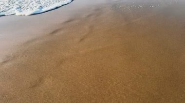 Sandy Sahili 'ne gelen dalga. Yumuşak okyanus dalgaları kumlu sahili beyaz köpükle kaplıyor. Doğal gün ışığında huzurlu bir sahil anı.