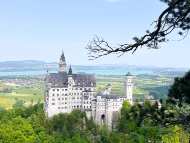 Neuschwanstein Şatosu, Almanya 'daki Neuschwanstein Şatosu' nun Tree BranchClear karesi ve görkemli manzaraya derinlik katan bir ön planda ağaç dalı..