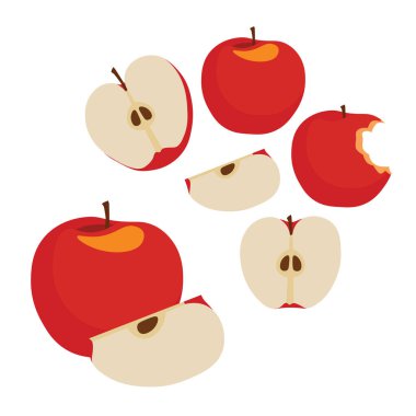 Çeşitli açılardan kırmızı elma vektör kümesi ve kesimler