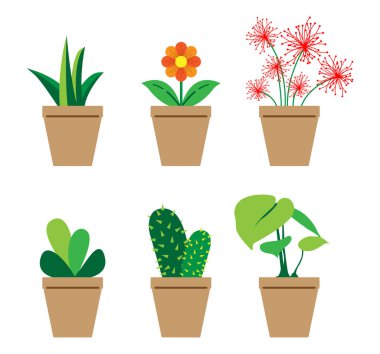 pot vektör çizim çiçek