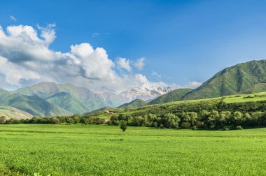Yeşil tepelerin ve karlı tepelerin ardında yeşil çayır. Bulutlu mavi gökyüzü. Vahşi doğaya yolculuk..