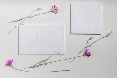 Minimalist çevre dostu kartpostal, sunum, kurumuş immortelle çiçekleriyle davetiye (Xeranthemum annuum annuum).